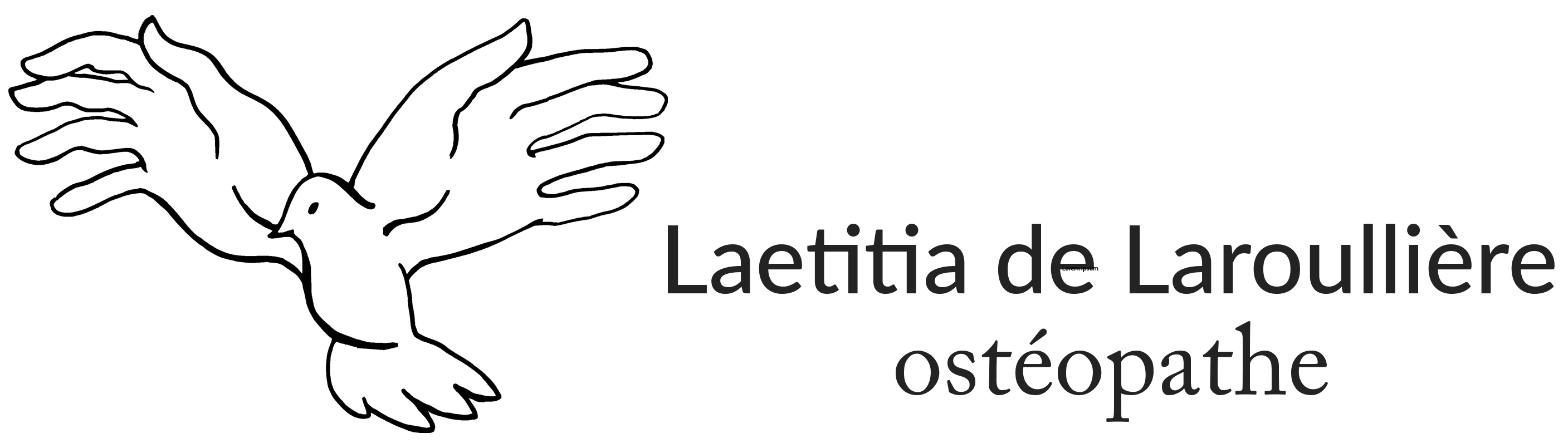 Logo Laetitia de Laroullière